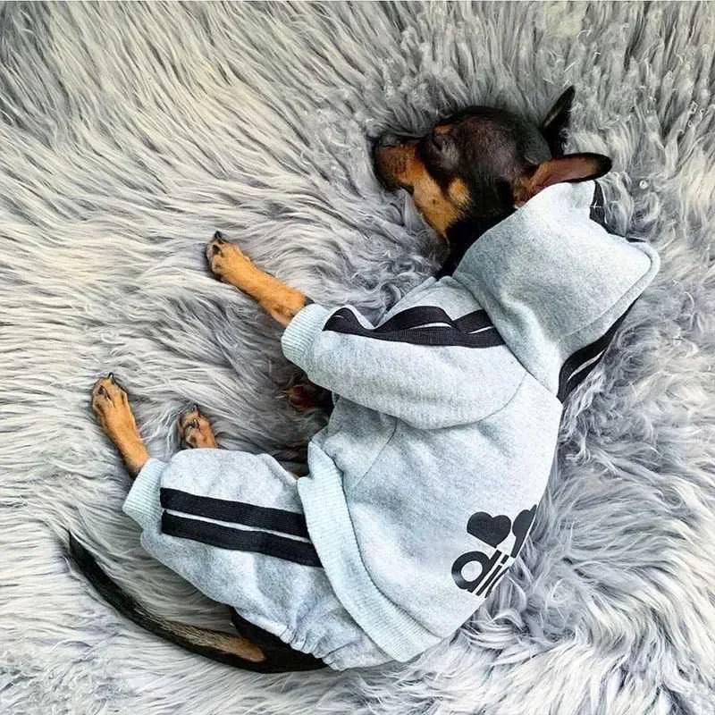 Adidog Dog Jumpsuit - Warm Hoodie Sweatshirt for Yorkies French Bulldogs - ZOOMNSTORE