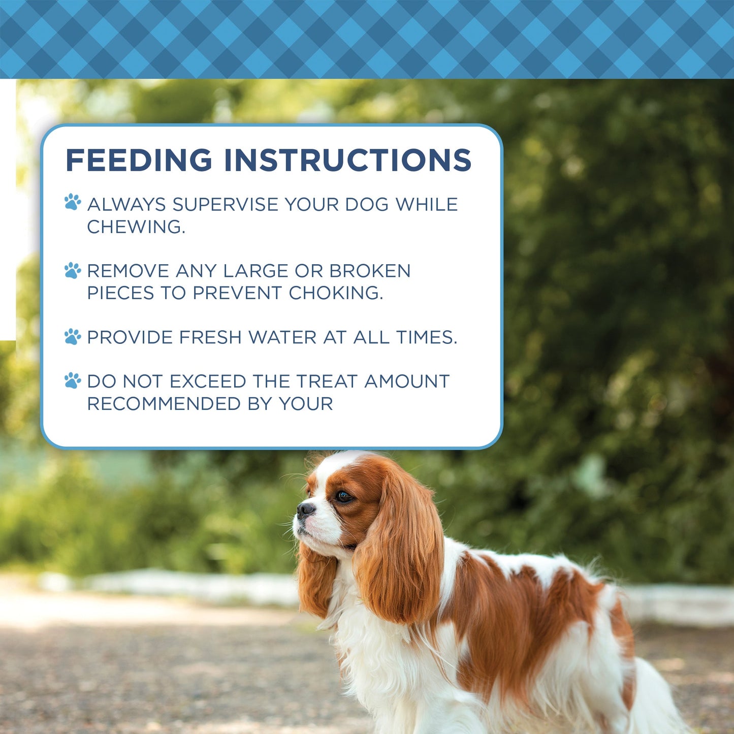 Country Living 4” x 4” Beef Cheek Chip Dog Treats – Chicken Flavor – 5 Count Bag – All-Natural, High-Protein, Long-Lasting Dog Chews - ZOOMNSTORE