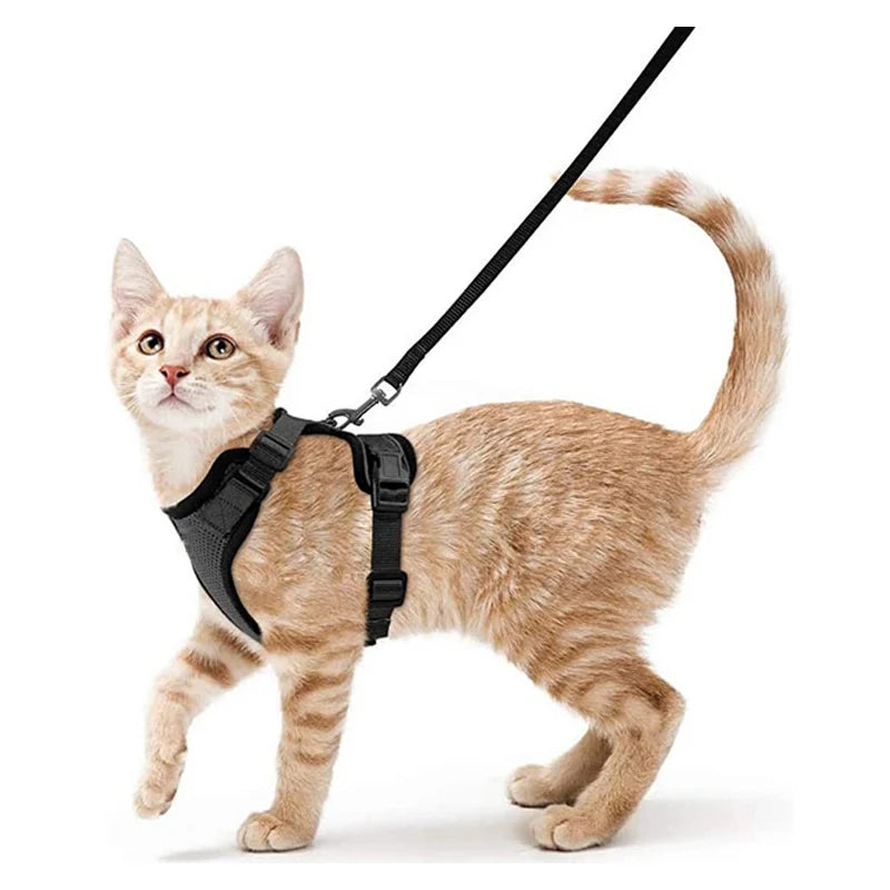 Escape Proof Cat Harness and Leash - Adjustable Soft Vest for Walking - ZOOMNSTORE