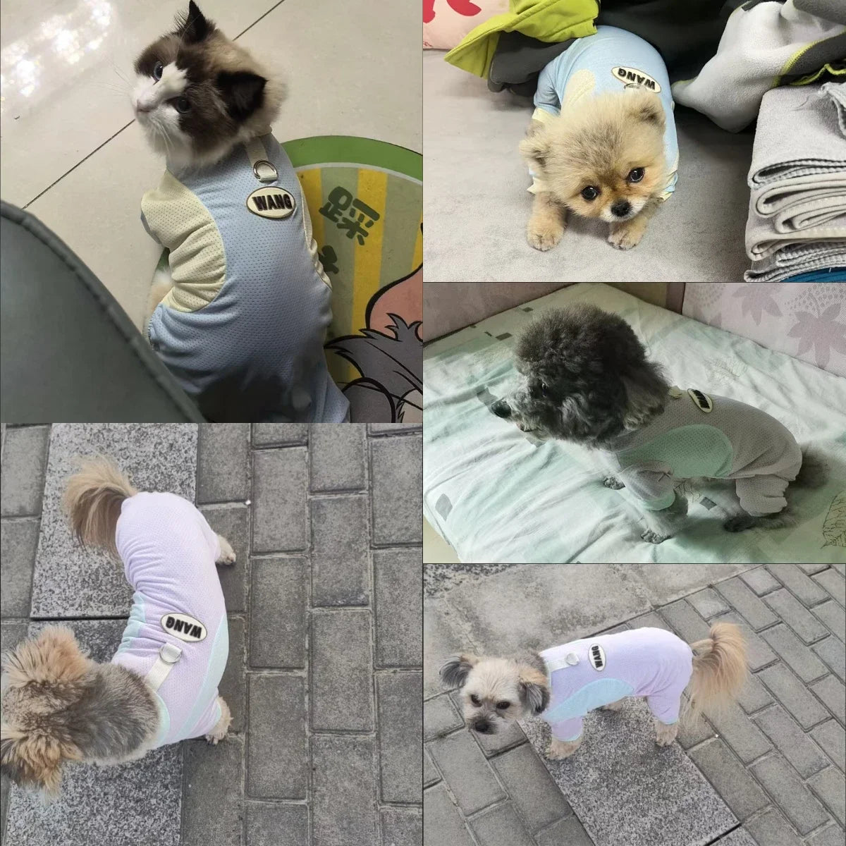 Cooling Dog Jumpsuit - Breathable Ice Silk Summer Vest for Small Dogs - ZOOMNSTORE