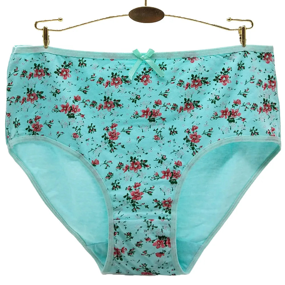 Cotton Mid Rise Womens Briefs - Soft Sexy Plus Size Panties 3 Pcs - ZOOMNSTORE