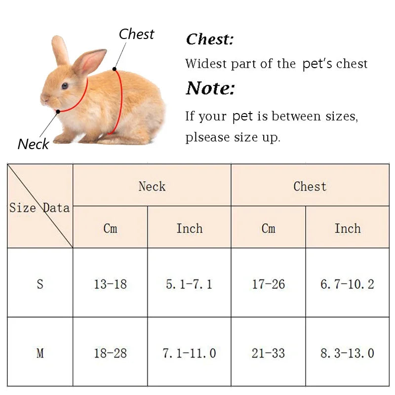 Cute Bunny Guinea Pig Harness Leash Set - Small Animal Accessories - ZOOMNSTORE