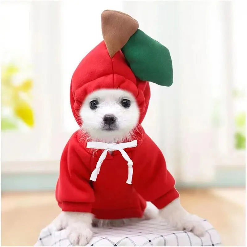 Cute Dog Hoodie - Funny Pet Costume with Hat for Halloween - ZOOMNSTORE