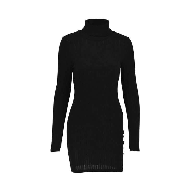 Elegant Turtleneck Mini Dress - Womens Bodycon Club Dress for Autumn Winter - ZOOMNSTORE