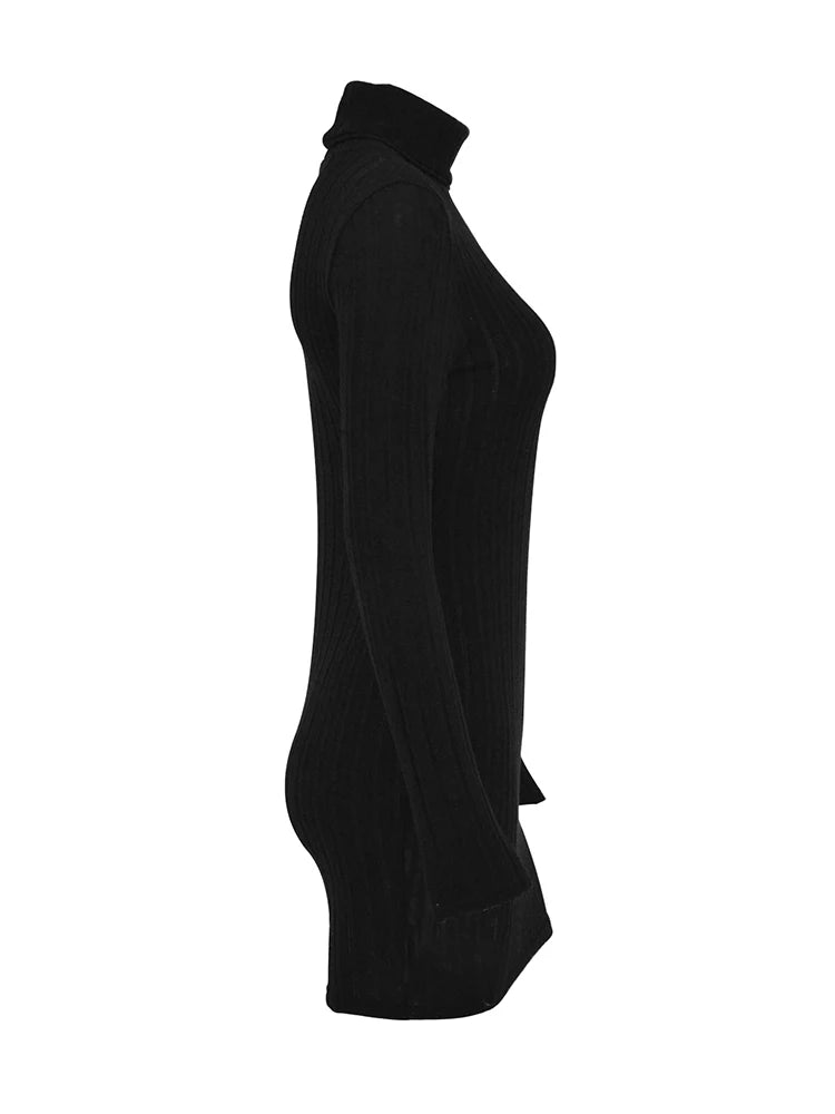 Elegant Turtleneck Mini Dress - Womens Bodycon Club Dress for Autumn Winter - ZOOMNSTORE