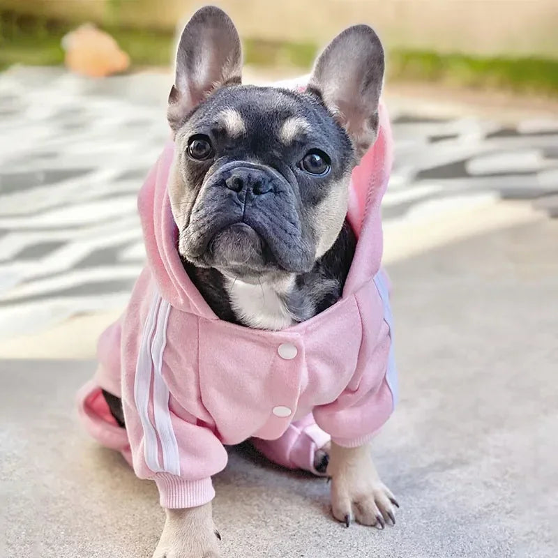 French Bulldog Dog Costume - Puppy Jumpsuit for Small Medium Dogs - ZOOMNSTORE