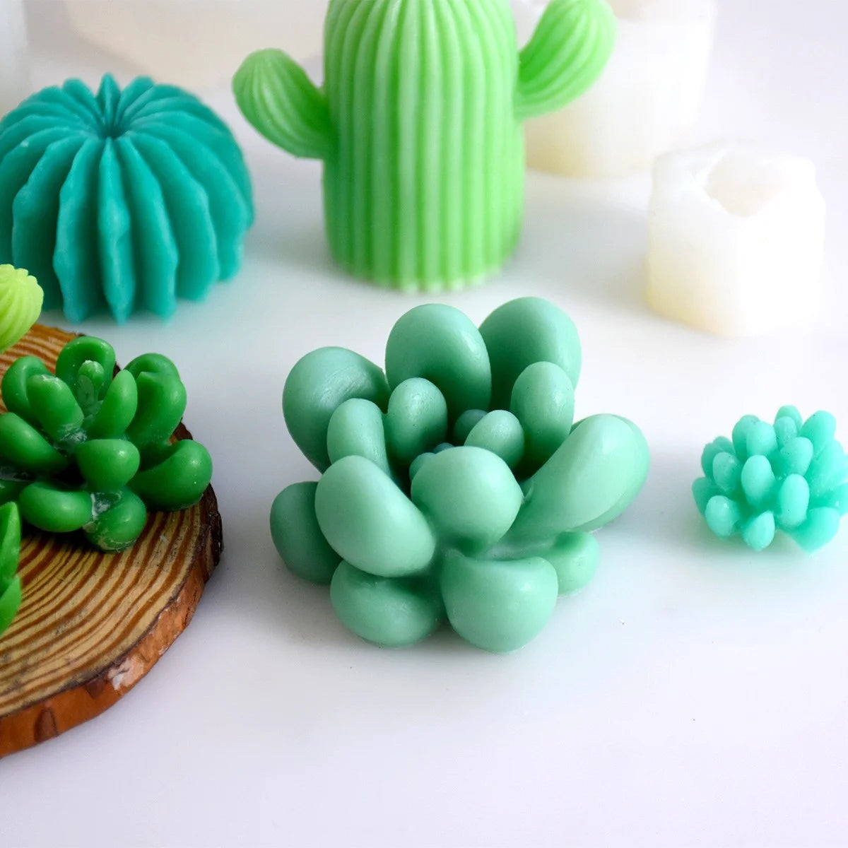 Succulent Plant Silicone Mold - 9pcs for Resin Crafts Candle Making - ZOOMNSTORE