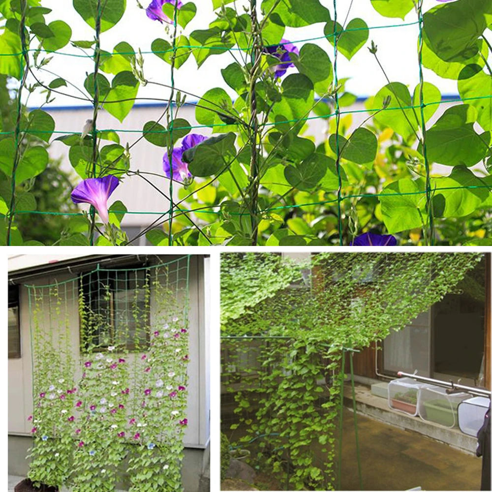 Heavy-Duty Garden Climbing Net - Trellis Netting for Plants and Vines - ZOOMNSTORE