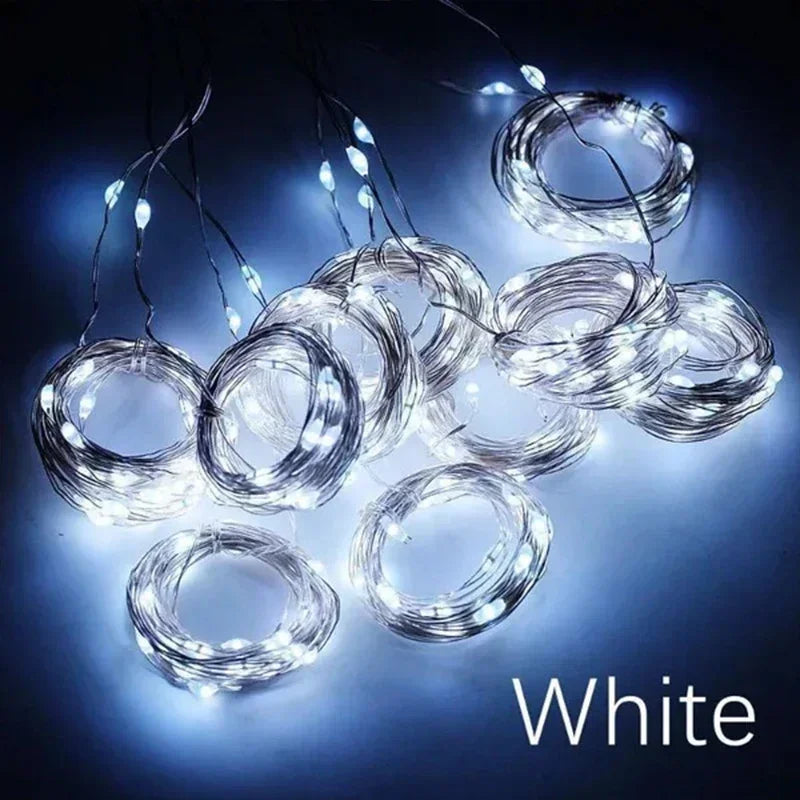 3M LED Fairy String Lights - USB Holiday Garland for Home Garden Christmas Party Wedding - ZOOMNSTORE