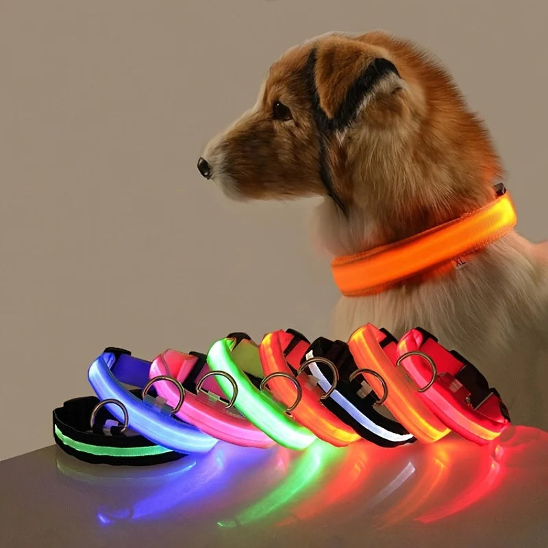 LED Glow-in-the-Dark Dog Leash Collar - Nylon Safety Pet Gear - ZOOMNSTORE
