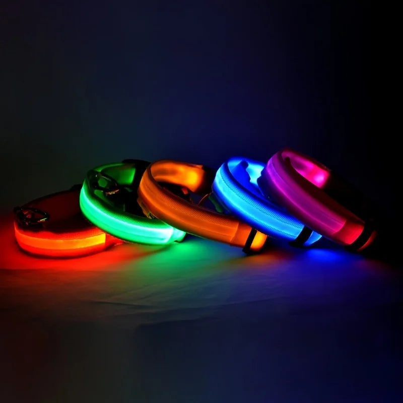 LED Glow-in-the-Dark Dog Leash Collar - Nylon Safety Pet Gear - ZOOMNSTORE