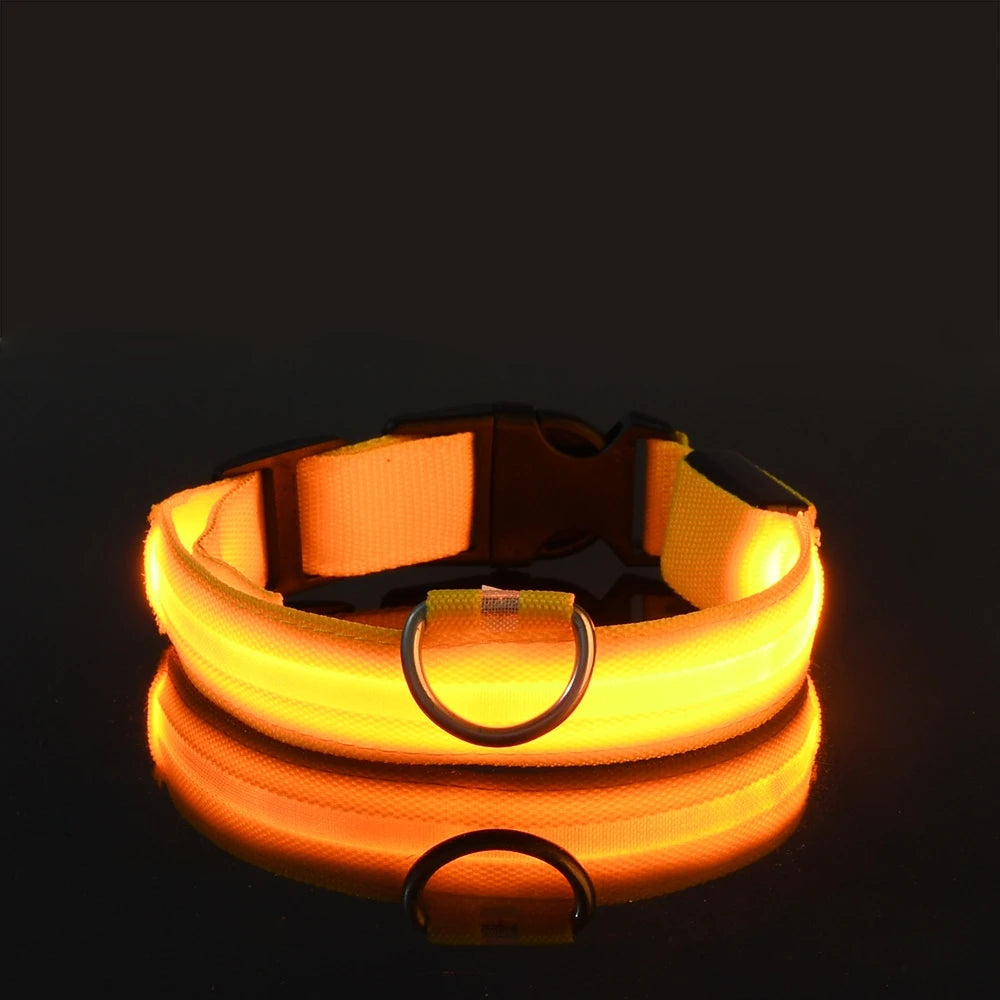 LED Glow-in-the-Dark Dog Leash Collar - Nylon Safety Pet Gear - ZOOMNSTORE