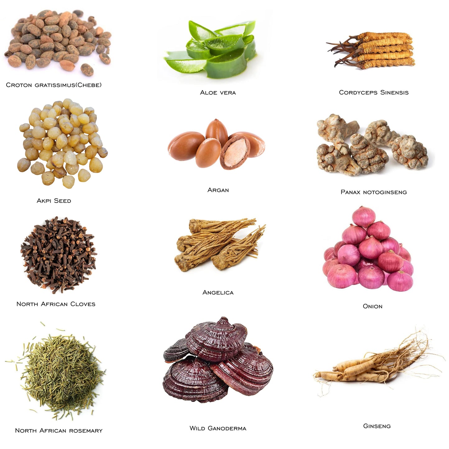 African Traditional Layden Oil - Scalp Hair Strengthening Treatment 17 Fl Oz - ZOOMNSTORE