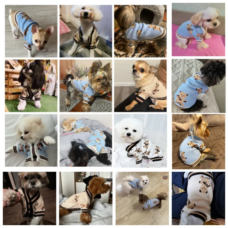 Luxury Striped Dog Sweater - Warm Cardigan for Chihuahua Bichon Frise - ZOOMNSTORE