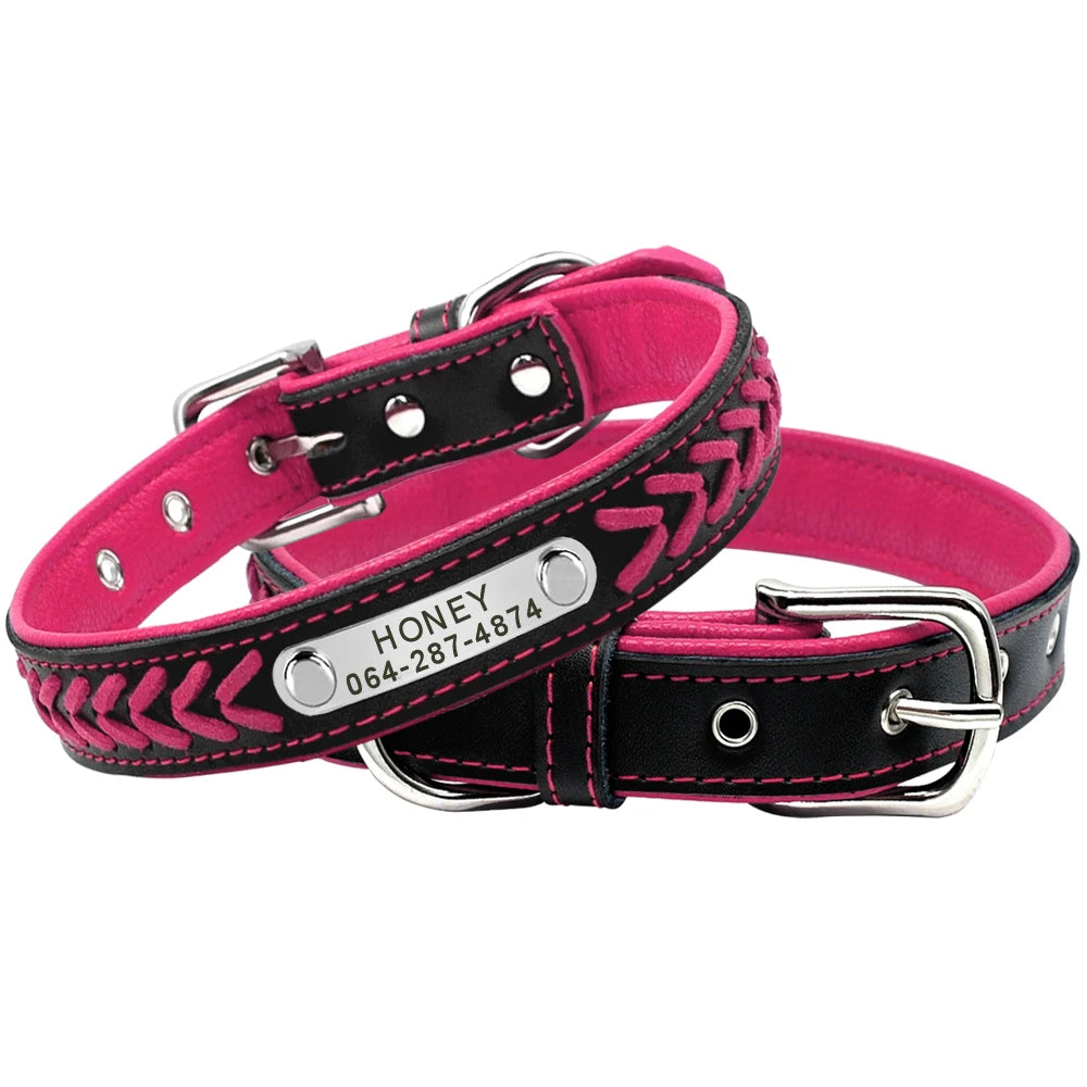 Personalized Dog Collar with Engraved Tag - Adjustable for Small to Large Dogs - ZOOMNSTORE