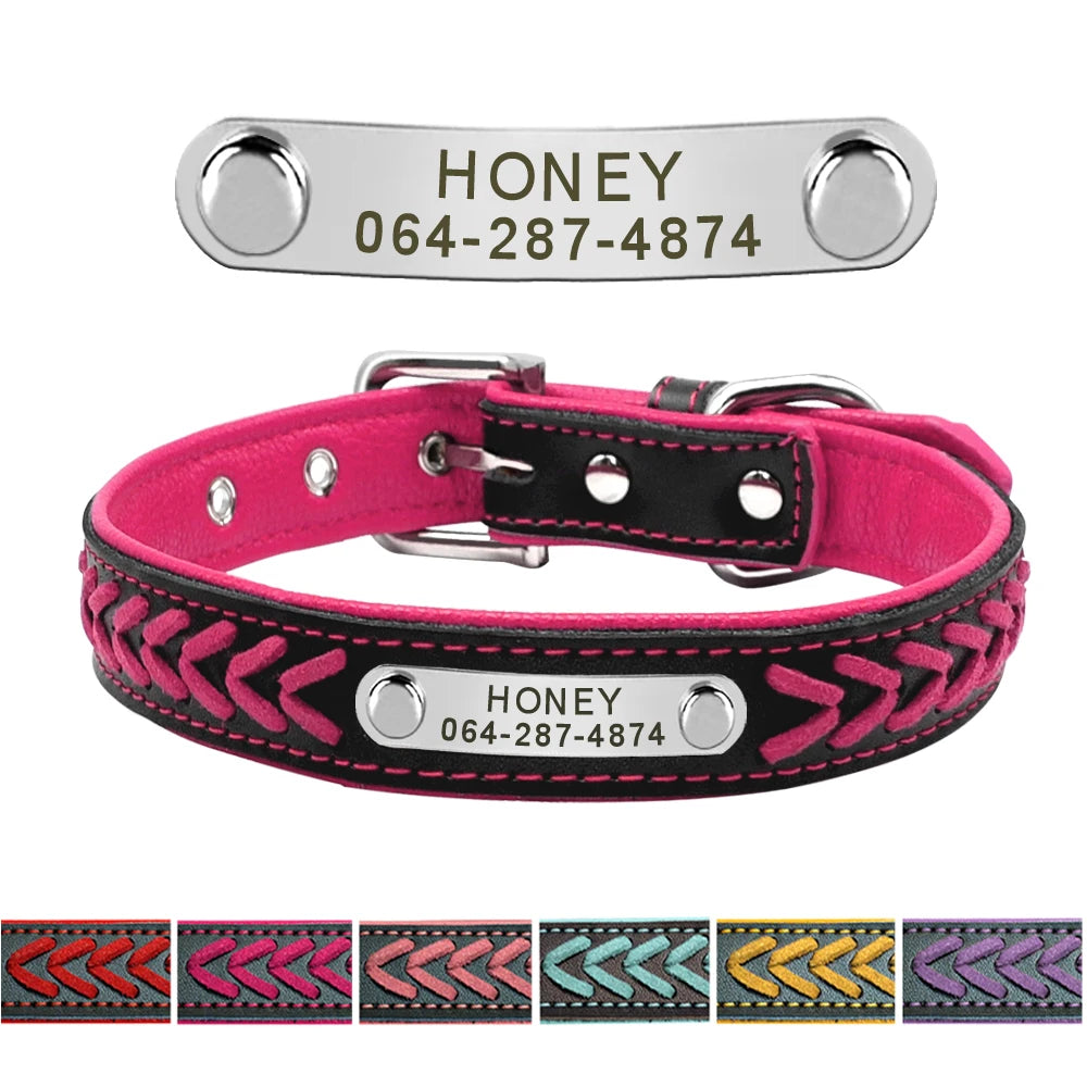 Personalized Dog Collar with Engraved Tag - Adjustable for Small to Large Dogs - ZOOMNSTORE