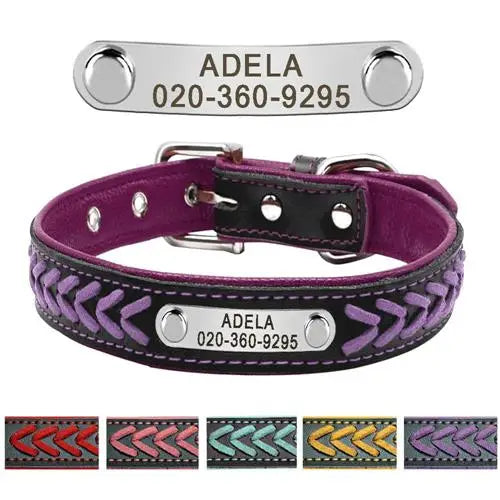 Personalized Dog Collar with Engraved Tag - Adjustable for Small to Large Dogs - ZOOMNSTORE