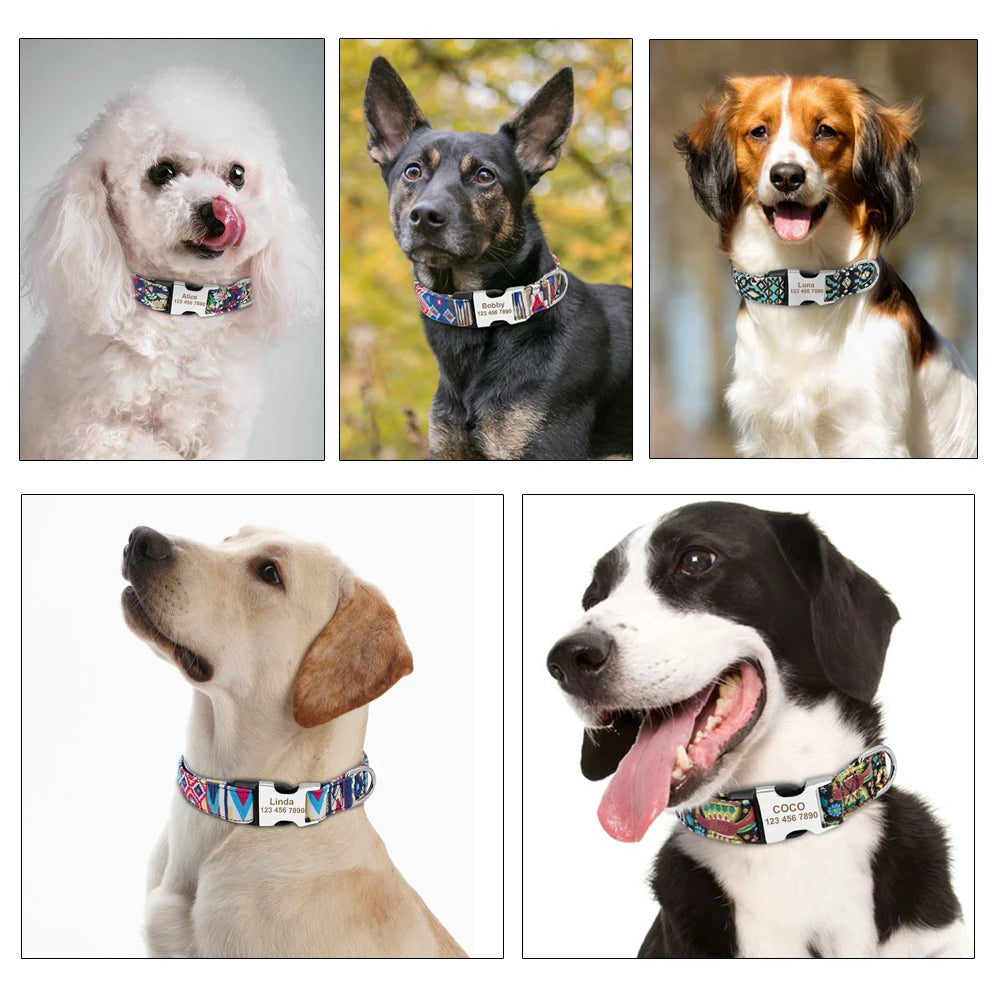 Personalized Engraved Dog Collar - Custom Nylon Pet ID Tag for Small Large Dogs - ZOOMNSTORE