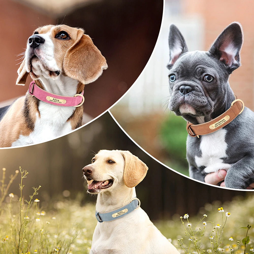 Personalized Engraved Dog Collar - Custom PU Leather ID Tag for Small to Large Dogs - ZOOMNSTORE