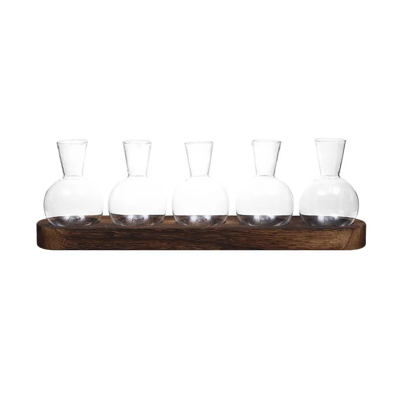 Modern Glass Terrarium with Wooden Tray - Indoor Hydroponics Propagation Station - ZOOMNSTORE