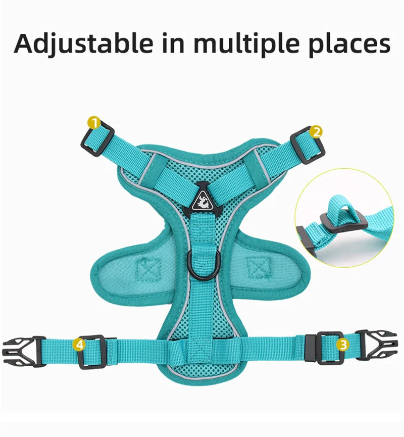 Reflective Cat Harness and Leash Set - Breathable Mesh for Small Dogs and Cats - ZOOMNSTORE