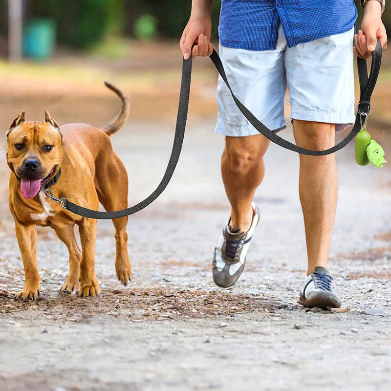 Reflective Pet Harness Leash - Adjustable Dog Walking Strap 121518m - ZOOMNSTORE