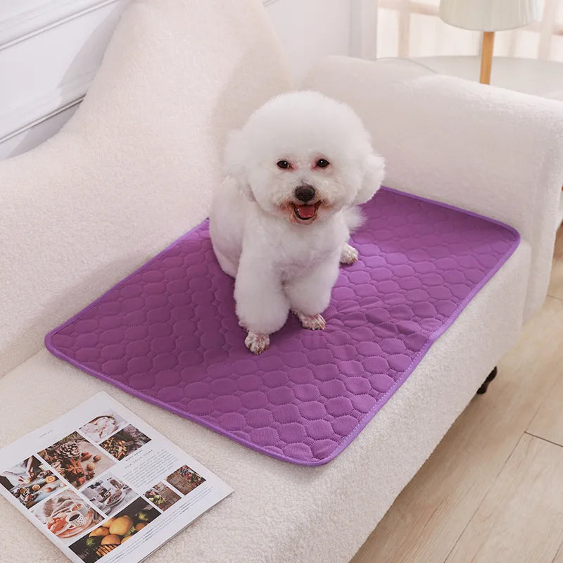 Reusable Dog Pee Pad Blanket - Washable Absorbent Puppy Training Mat Pet Bed Urine Mat - ZOOMNSTORE