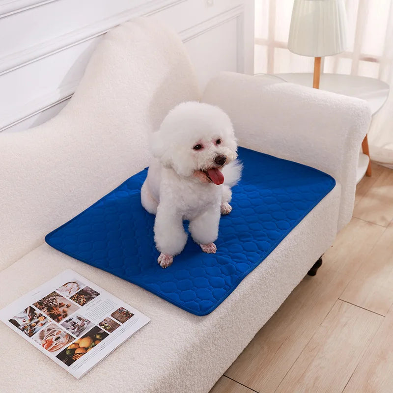Reusable Dog Pee Pad Blanket - Washable Absorbent Puppy Training Mat Pet Bed Urine Mat - ZOOMNSTORE
