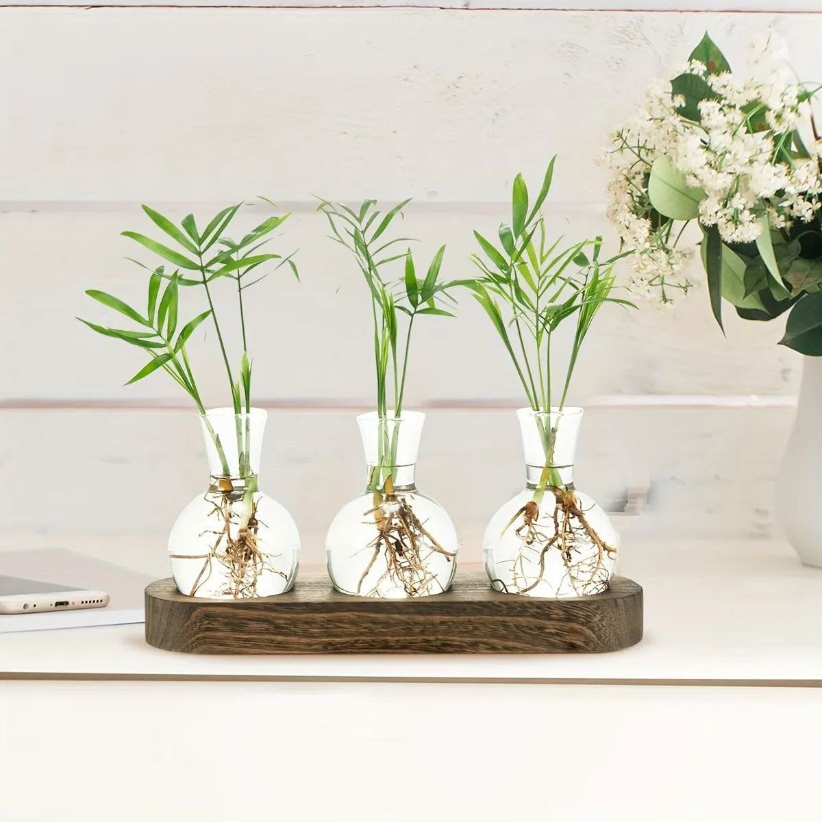 Modern Glass Terrarium with Wooden Tray - Indoor Hydroponics Propagation Station - ZOOMNSTORE