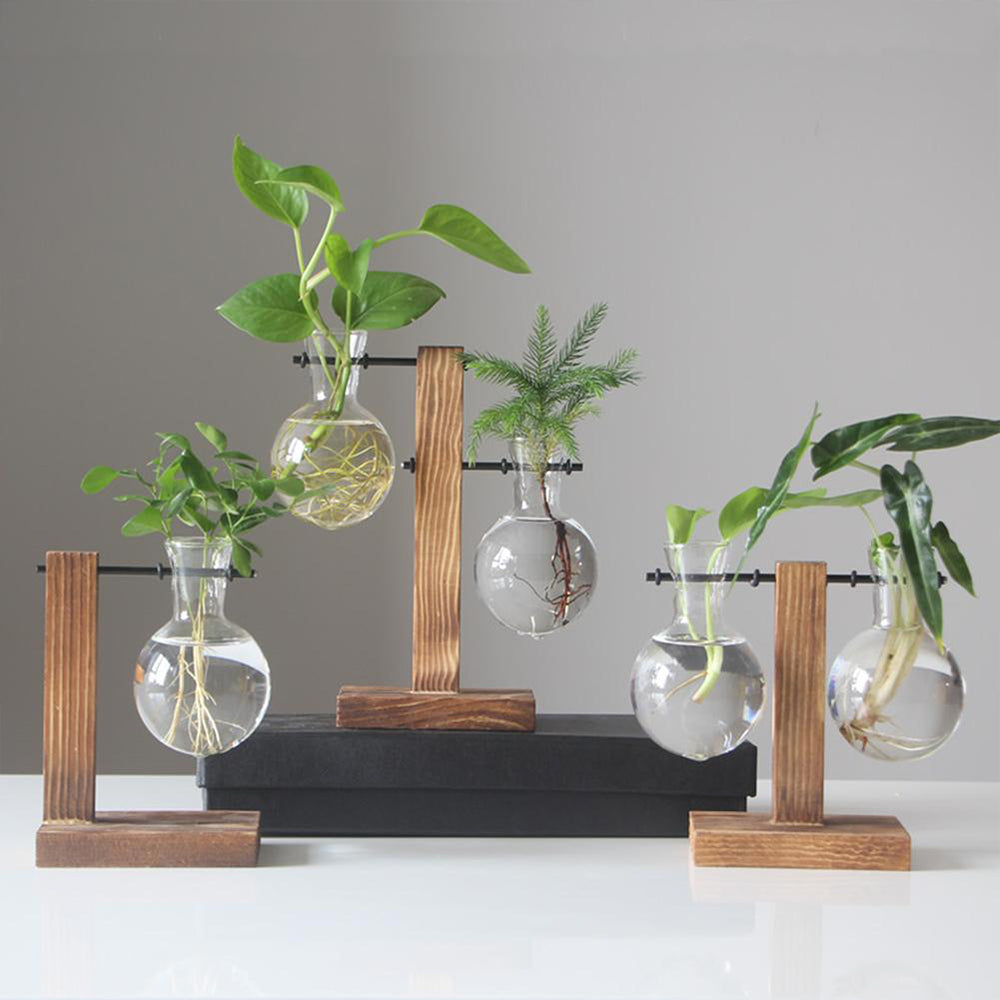 Glass Desktop Planter with Wooden Stand - Hydroponic Bulb Vase for Home Decor