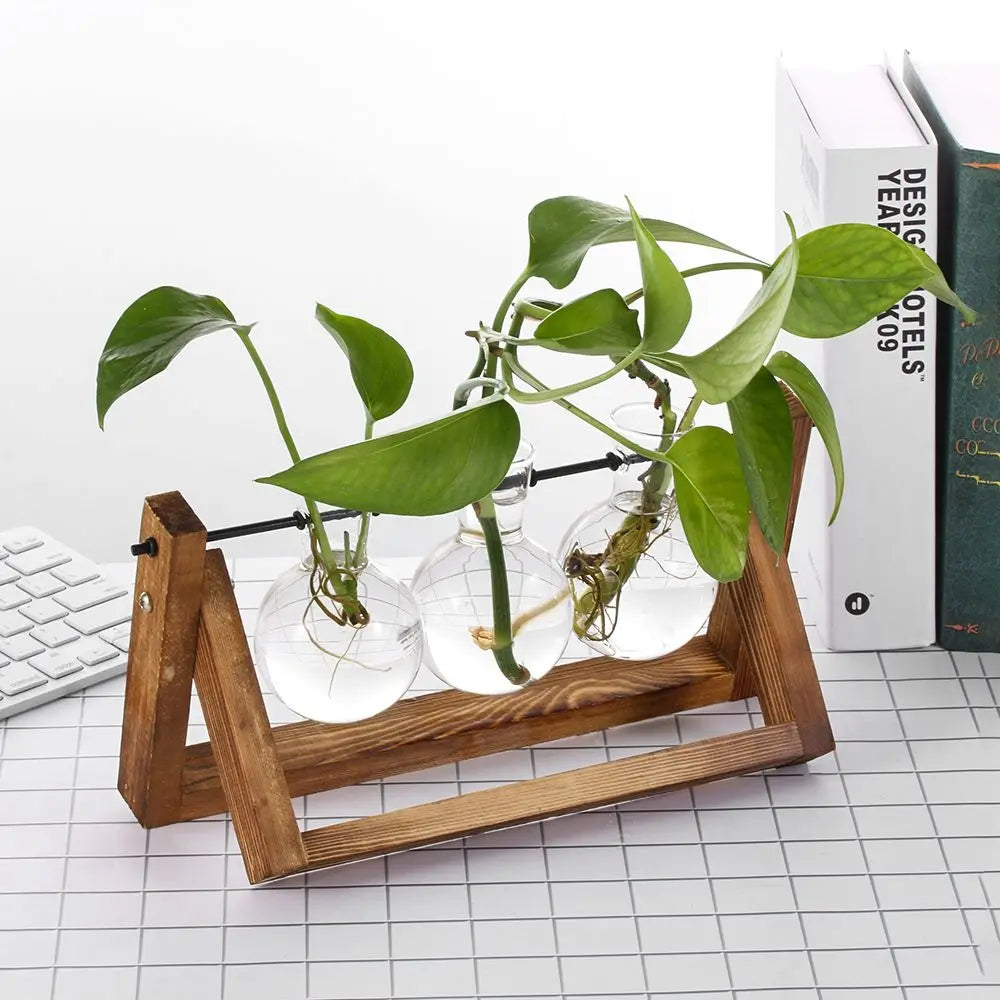 Wooden Frame Hydroponic Terrarium Planter - Glass Vases for Tabletop Decoration - ZOOMNSTORE