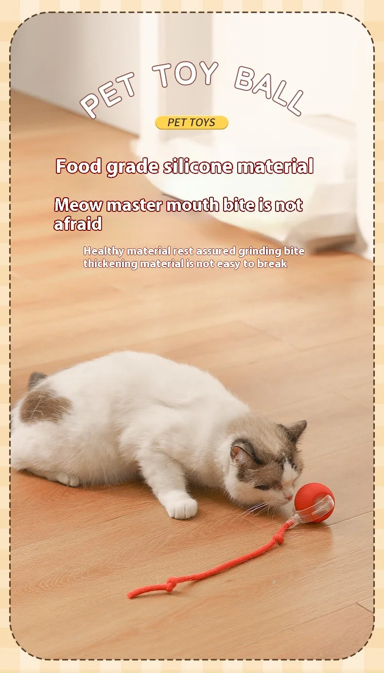 Interactive Cat Toy - Automatic Rolling Ball with Faux Tail - ZOOMNSTORE