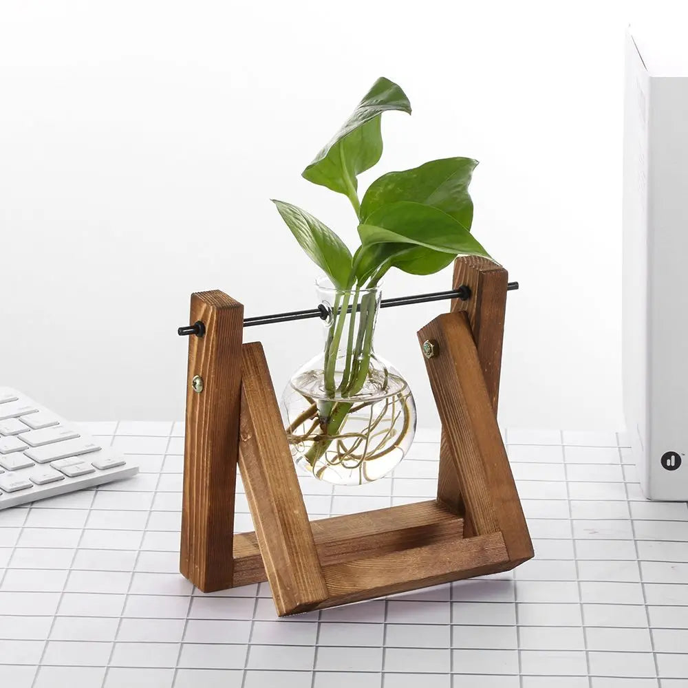 Wooden Frame Hydroponic Terrarium Planter - Glass Vases for Tabletop Decoration - ZOOMNSTORE