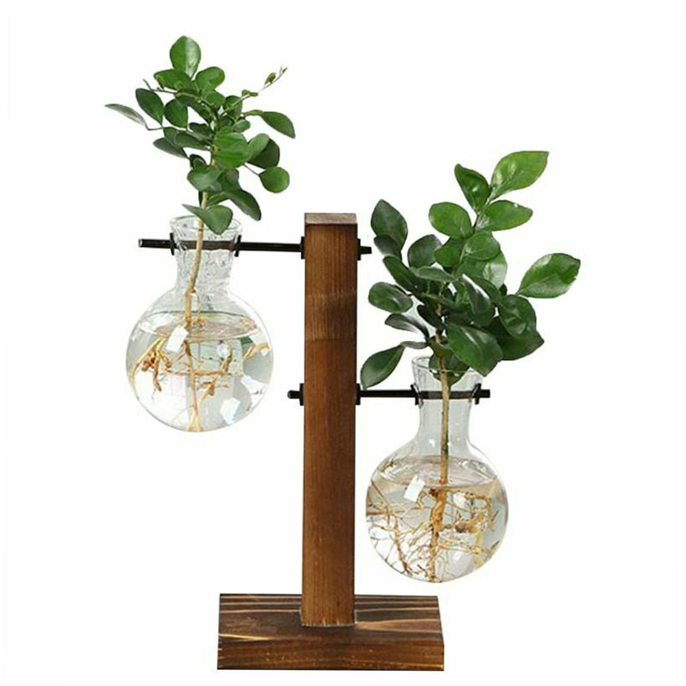 Glass Desktop Planter with Wooden Stand - Hydroponic Bulb Vase for Home Decor