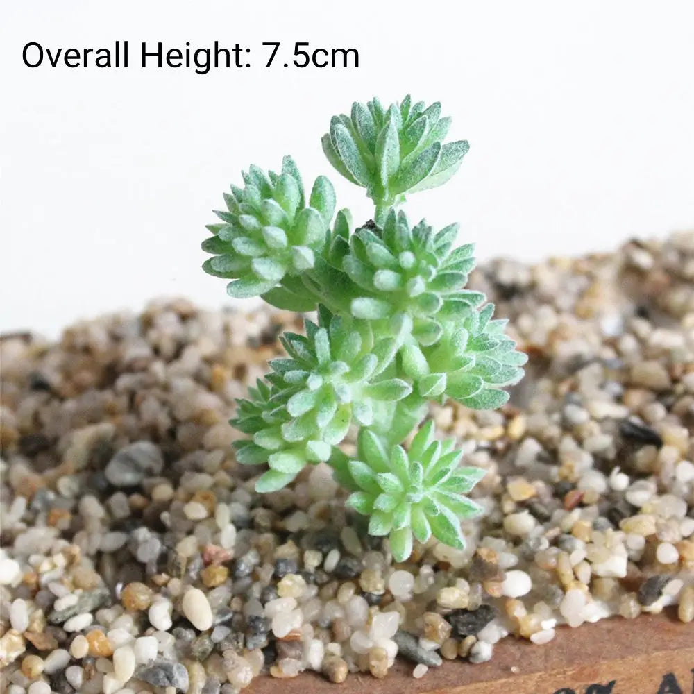Artificial Succulents Plants – Green PVC Bonsai Style Desktop Garden Decoration