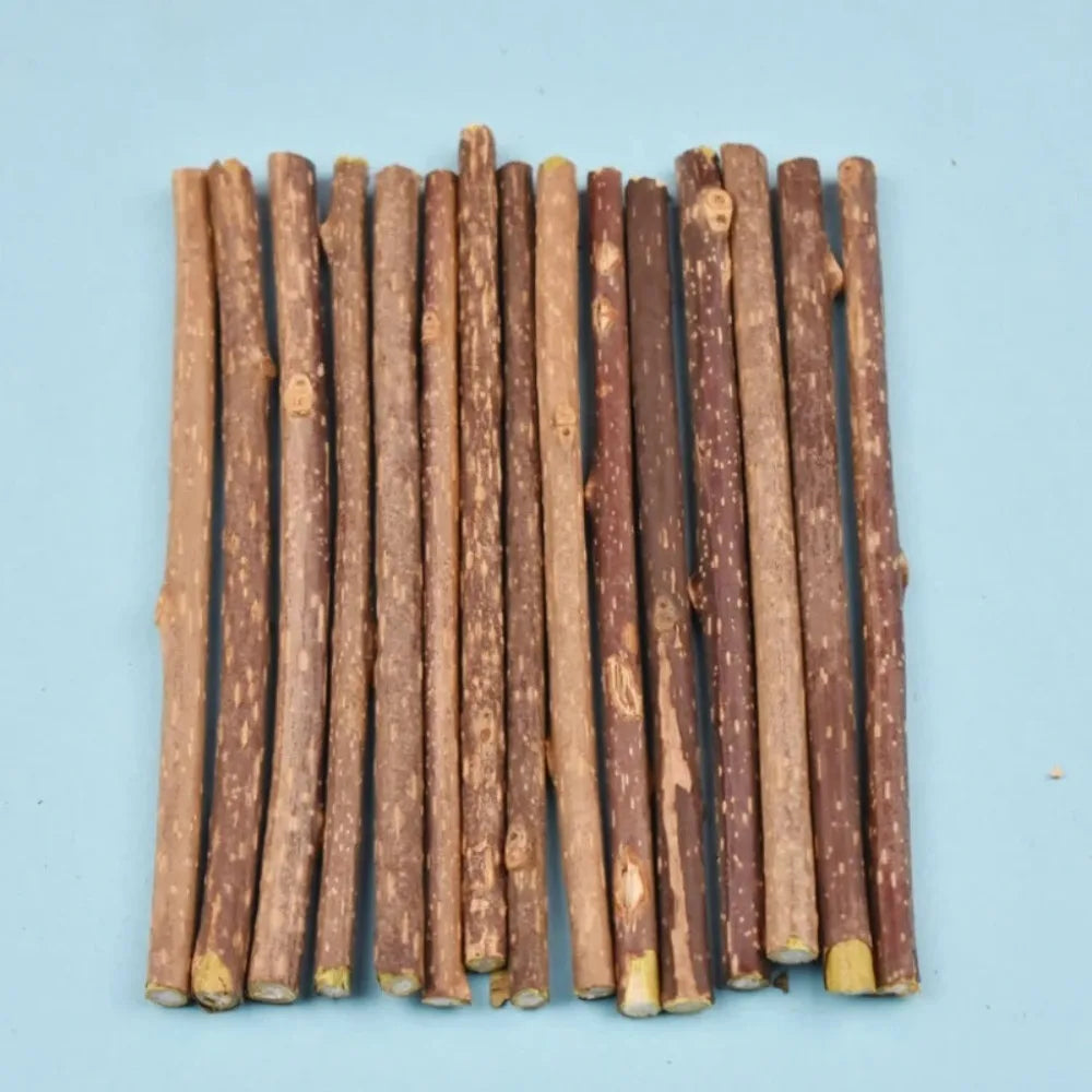 15pcs Natural Matatabi Cat Catnip Toy Kitten Molar Chew Stick Pet Cleaning Teeth Cat Treat Toy Actinidia Silvervine Pet Products