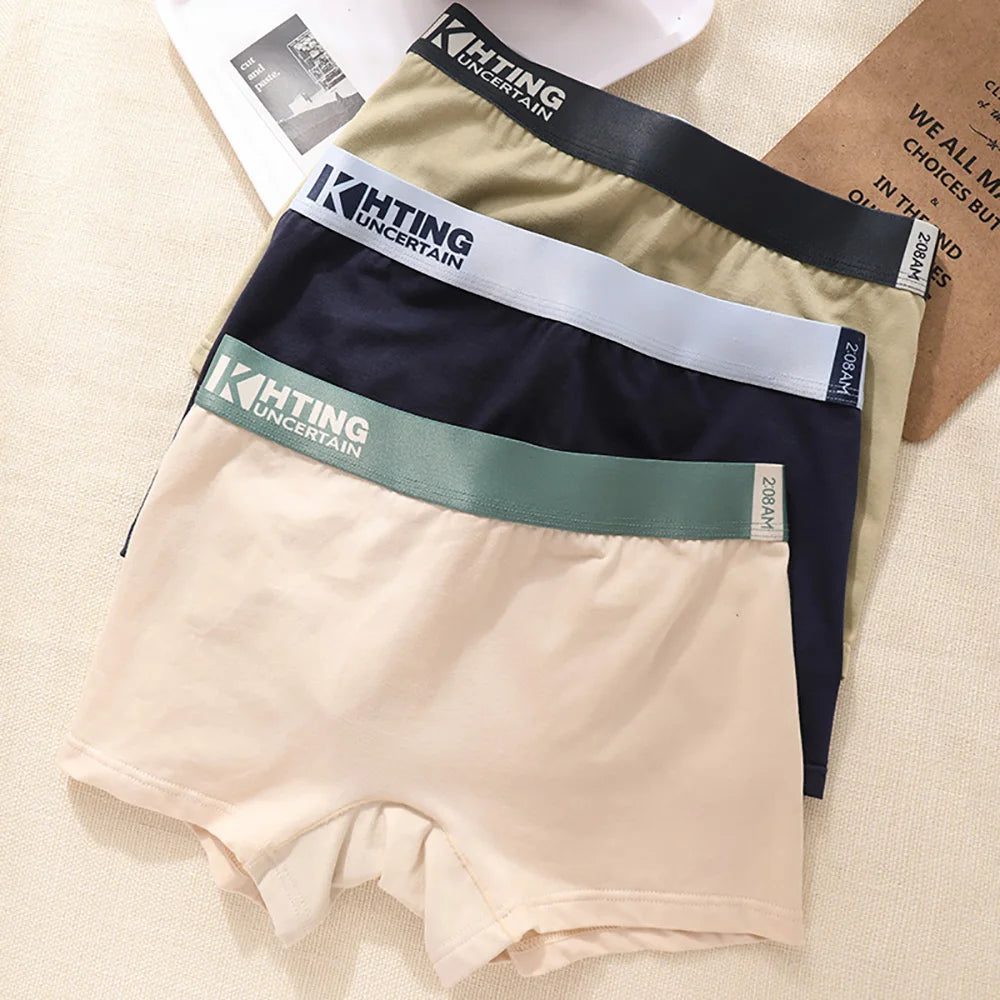 3PCS/Pack 100% Cotton Breathable Antibacterial Women's Panties Comfortable Soft Lingerie High Elastic Waistband Female Underwear