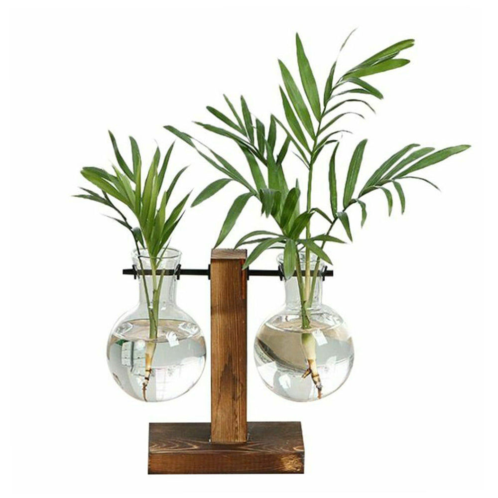 Glass Desktop Planter with Wooden Stand - Hydroponic Bulb Vase for Home Decor