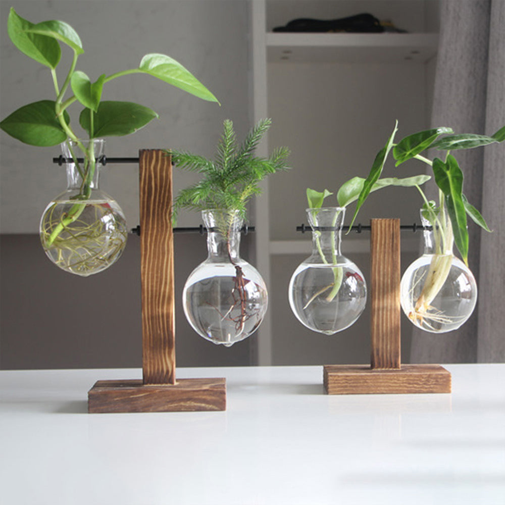 Glass Desktop Planter with Wooden Stand - Hydroponic Bulb Vase for Home Decor