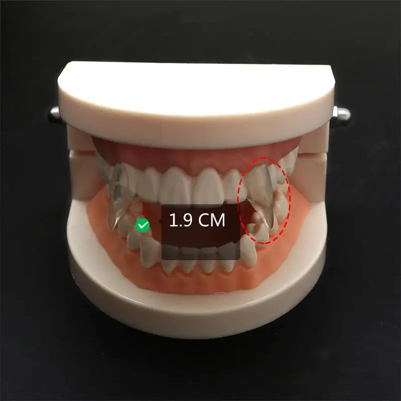 Vampire Fangs Dentures - Halloween Costume Props with Adhesive - ZOOMNSTORE