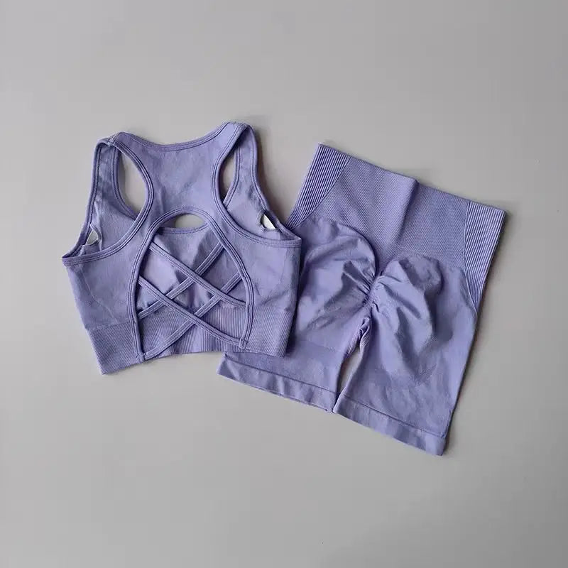 Womens Seamless Yoga Set - High Waist Sports Bra Shorts Gym Outfit - ZOOMNSTORE
