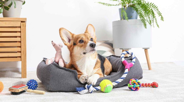 PETS FEATURED ITEMS