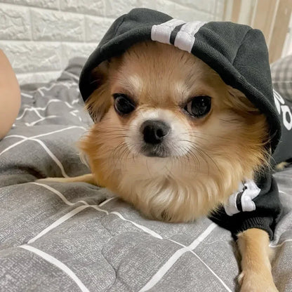 Adidog Dog Hoodie - Warm Autumn Winter Coat for Medium Large Dogs - ZOOMNSTORE