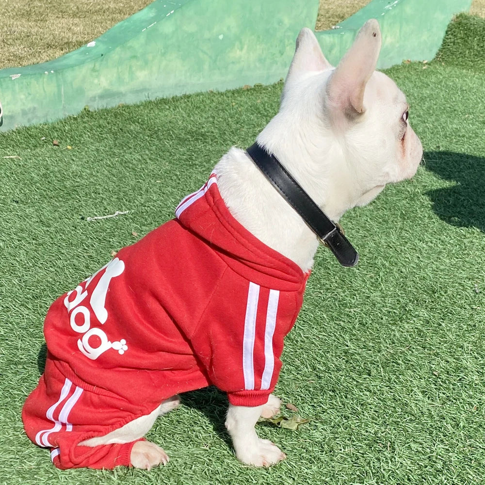 Adidog Dog Jumpsuit - Spring Sports Suit for Small Dogs - ZOOMNSTORE