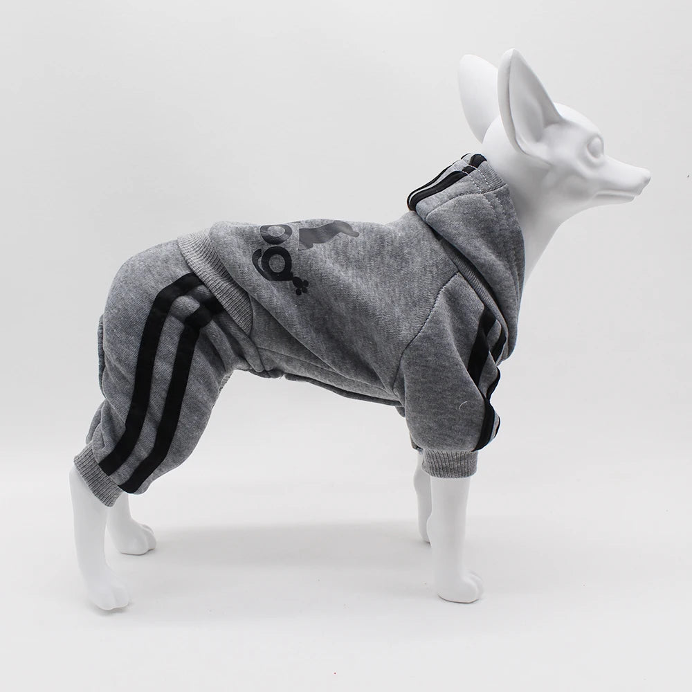 Adidog Dog Jumpsuit - Spring Sports Suit for Small Dogs - ZOOMNSTORE