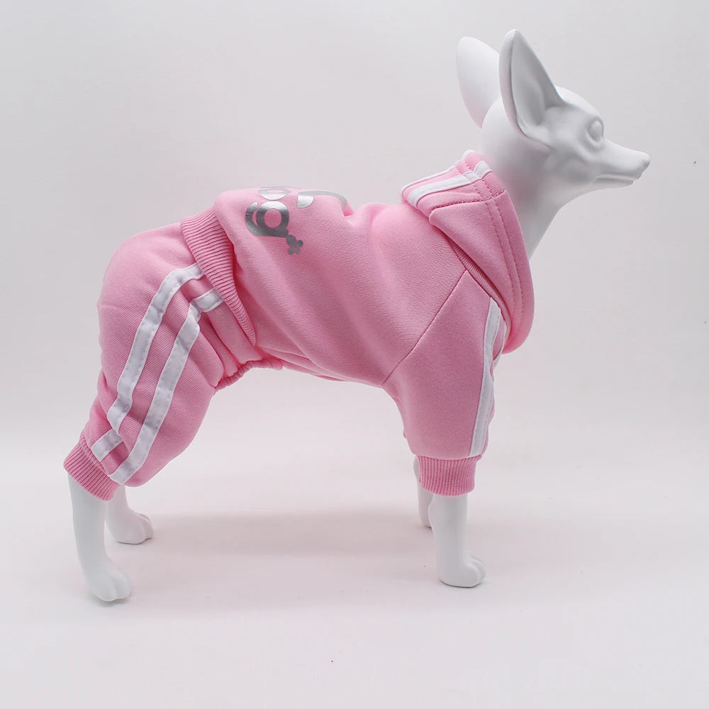 Adidog Dog Jumpsuit - Spring Sports Suit for Small Dogs - ZOOMNSTORE