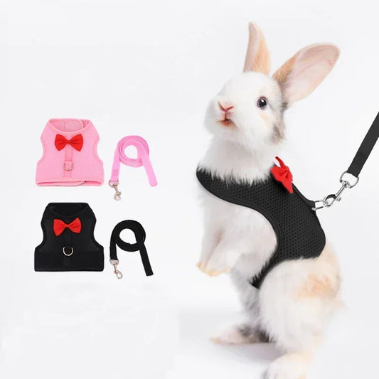 Adjustable Bunny Harness  Leash Set - Soft Vest for Small Pets Rabbits Ferrets Kittens - ZOOMNSTORE