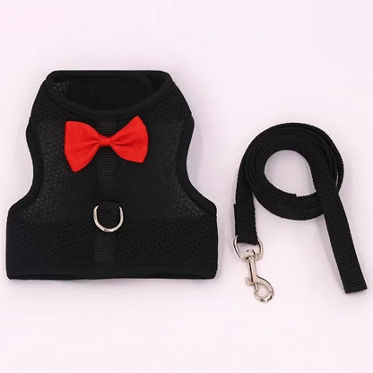 Adjustable Bunny Harness  Leash Set - Soft Vest for Small Pets Rabbits Ferrets Kittens - ZOOMNSTORE