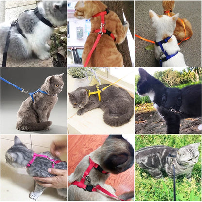 Adjustable Cat Collar and Harness Set - Cozy Nylon Leash for Cats and Kittens - ZOOMNSTORE