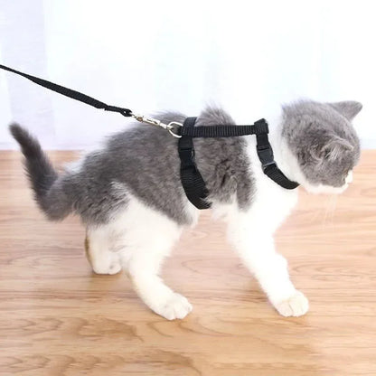 Lightweight Adjustable Cat Harness and Leash Set - Escape Proof Kitten Walking Strap for Small Animals - ZOOMNSTORE